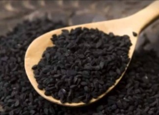 Ćurekut – čudotvorni lijek za sve bolesti Nigella sativa curekot zrna