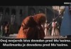 Vladar koji je podigao vojsku zbog časti jedne muslimanke