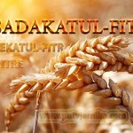 Vitre sadakatul fitr zekatul fitr