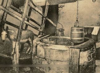 Magarac i bunar (poučna priča) magarac i bunar