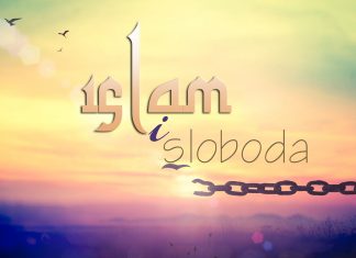 Šejh Tarifi o istinskoj slobodi i svrsi ovosvjetskog života islam i sloboda