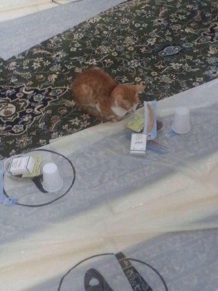 Macka ceka iftar u Mesdzidu Haramu