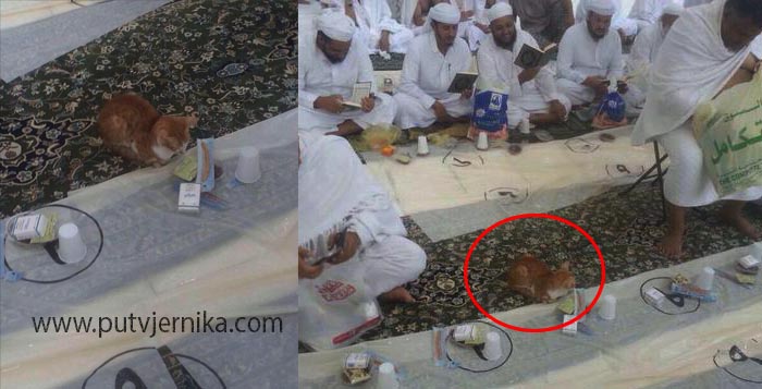 Macka na iftaru