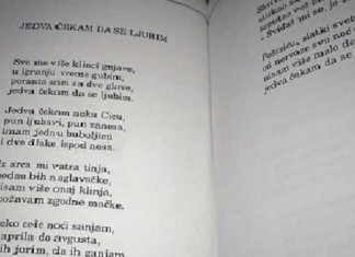 Čime to u školama “truju” našu djecu? Demokratija u školama