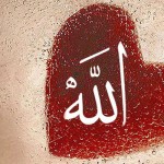 Ljubav prema Allahu