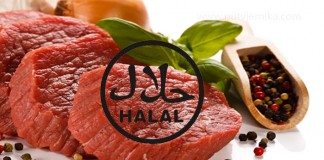 Uvjeti koji se moraju ispuniti da bi meso bilo halal sa šerijatskog aspekta (II DIO) Halal meso