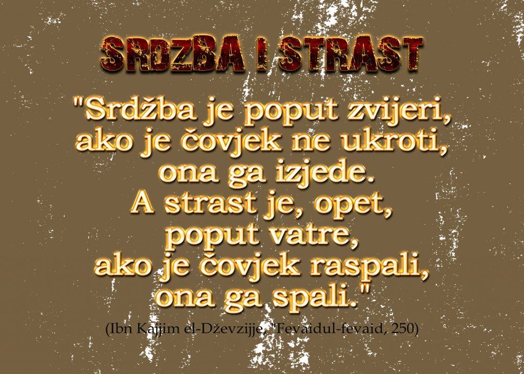 srdba i strast islamski citati