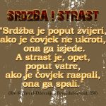srdba i strast islamski citati