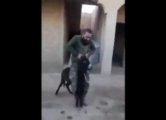 Šta video o iživljavanju Asadovog borca nad životinjom otkriva o ubijenoj sirijskoj djeci? Asadov terorista se iživljava nad bespomoćnom životinjom