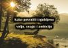 Kako povratiti izgubljenu volju, snagu i ambiciju