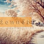 Dzennet slika