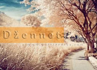 Smrt je predivna stvar! (poučno kazivanje o iskrenosti i smrti) Dzennet slika