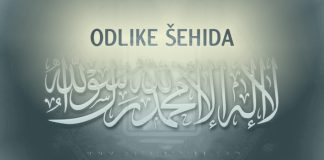 Poglavlje o onome čime je Allah odlikovao šehide od veličanstvenih nagrada odlike sehida