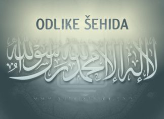 Poglavlje o onome čime je Allah odlikovao šehide od veličanstvenih nagrada odlike sehida