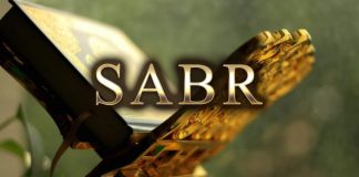 Podjela sabura prema snazi suprostavljanja silama strasti Sabr