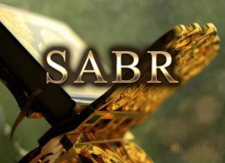 Podjela sabura prema snazi suprostavljanja silama strasti Sabr