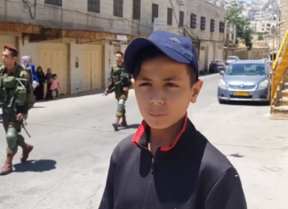 Zvijeri napadaju palestinsku djecu u haremu Ibrahimove džamije montasir raed