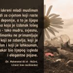 cvijet iz deponije