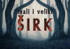 Podjela širka na veliki, mali i skriveni Mali i veliki širk