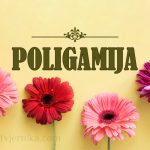 poligamija, visezenstvo