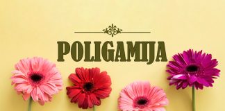 Ibn Kajjim o mudrostima islamskog višeženstva poligamija, visezenstvo