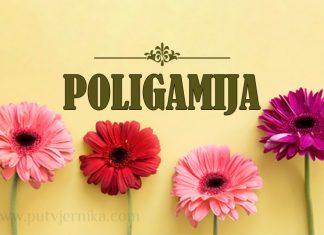 Ibn Kajjim o mudrostima islamskog višeženstva poligamija, visezenstvo