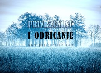Privrženost i odricanje spram iskrenih vjernika, griješnika i nevjernika Privrzenost i odricanje