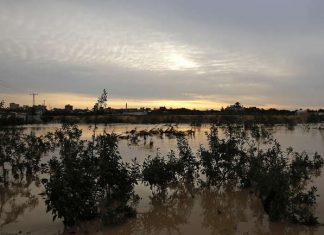 Izrael treći put potopio poljoprivredne površine u Gazi Gaza, poplava