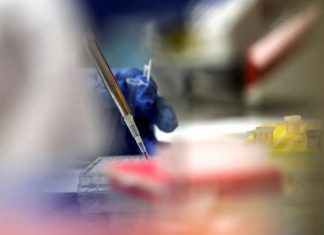 Prateće pojave korona virusa: Lažni lijekovi, riskantne glasine, izmišljotine Korona virus
