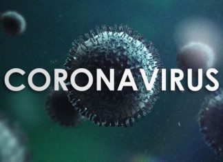 Patogeni koji su zarazili 53 miliona ljudi i bacili svjetske vlade na koljena staju u kašiku korona virus