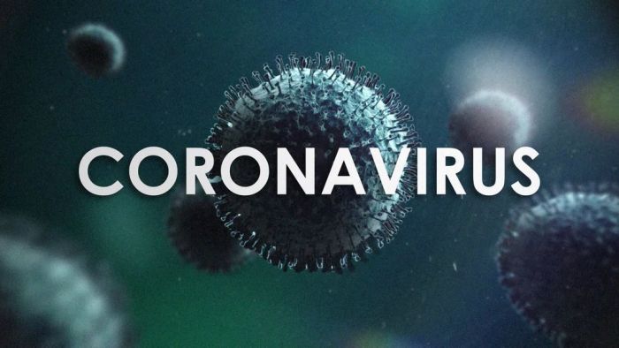 korona virus