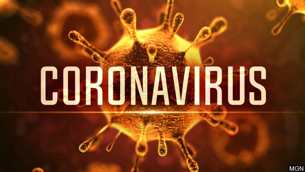 korona virus