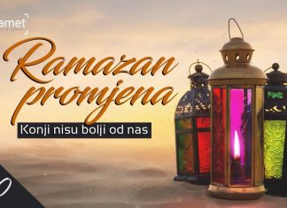 Ramazan promjena – 20. dan: Konji nisu bolji od nas