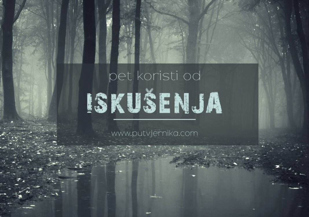 koristi iskusenja