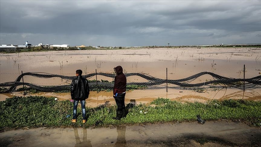 Poplavljena polja u Palestini