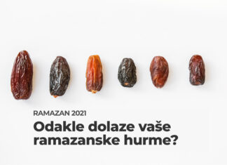 Infografika: Odakle dolaze hurme i zašto su tako važne? Hurme