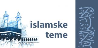 Šejh Ibn Usejmin o mnogobrojnosti džemata i razilaženjima