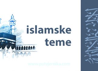 Šejh Ibn Usejmin o mnogobrojnosti džemata i razilaženjima