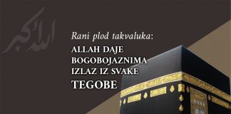 Rani plod takvaluka: Allah bogobojaznima daje izlaz iz svake tegobe i opskrbu odakle se i ne nadaju bogobojaznost