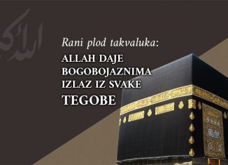 Rani plod takvaluka: Allah bogobojaznima daje izlaz iz svake tegobe i opskrbu odakle se i ne nadaju bogobojaznost