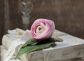 Asija, žena Faraonova