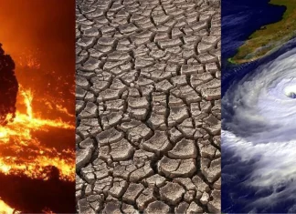 Copernicus: Ovogodišnje ljeto (vjerovatno) najtoplije u historiji
