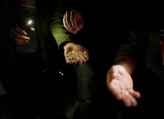 Agencija Anadolu dokumentovala najveće skladište droge svrgnutog Assadovog režima u Siriji