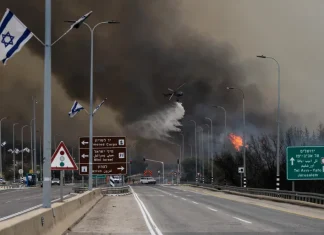 Vatrogasci se bore s požarima između Tel Aviva i Jerusalema, Srbija ponudila pomoć Izraelu