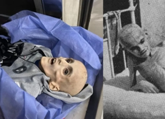 Korištenje gladi kao oružja ključno za izraelsko etničko čišćenje i genocidne zločine u Gazi