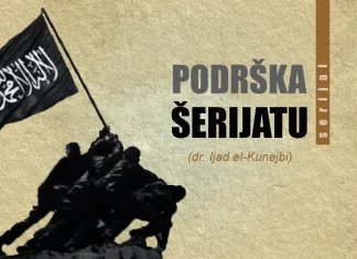 Serijal “Podrška Šerijatu” – 6. dio: Zašto je ovo naše pitanje uspješno?