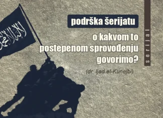 Serijal “Podrška Šerijatu” – 4. dio: O kakvom to postepenom sprovođenju govorimo?