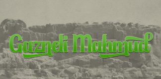 Jedan dan Ramazana – jedan vojskovođa iz islamske historije: Gazneli Mahmud (971–1030)